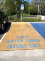 Prime Parking Spot for a year