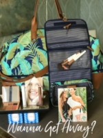 Ever Beauty Makeup, Brushes and Stella and Dot Bag/Travel Case